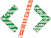 tag logo codeloccol